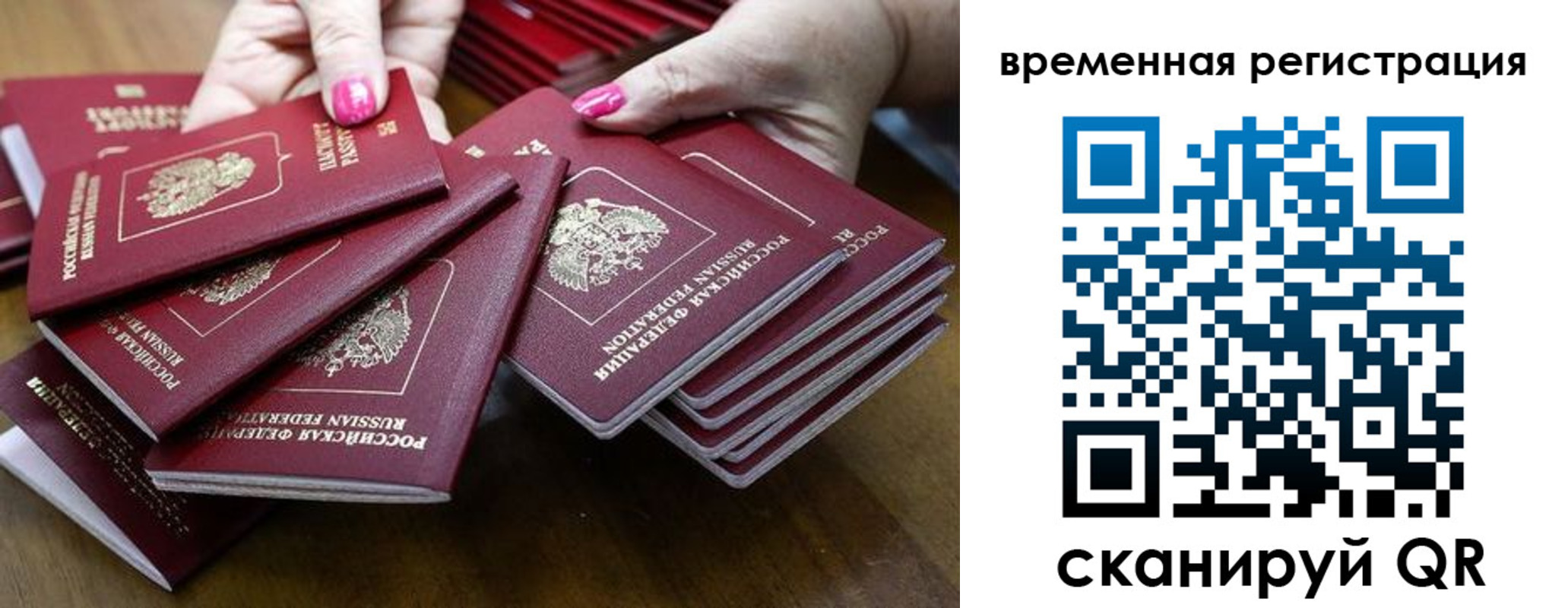 временная регистрация поиск в Камчатской области