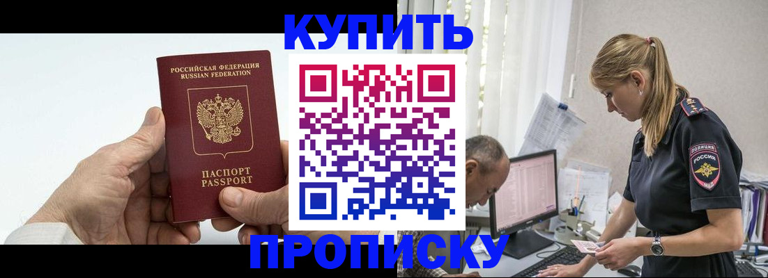 прописка поиск в Камчатской области